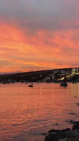 “Đi qua nhiều phiên bản của chính mình để đứng được tới đây. Đã từng muốn trở về làm cô bé 17 tuổi, nhưng thôi… Mình của bây giờ là hòa lẫn giữa sự ngây thơ năm 17, những chấn thương tâm lý ở tuổi 20 và cuối cùng là sự bình lặng của hiện tại. Không ai có thể đánh đổ được mình, kể cả chính mình. Không cho phép ai làm điều đó, kể cả chính mình…” - nguồn: Suy nhân #muine #bien #phanthiet #hoanghon #fyp 