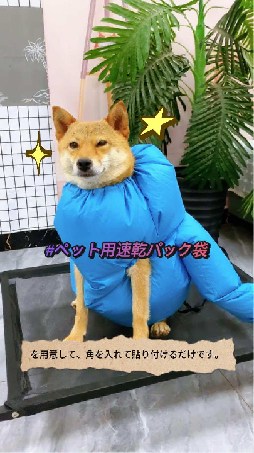 子犬の超速乾燥袋#乾燥 #袋 #ペット用品 #子犬 #子犬のいる生活 