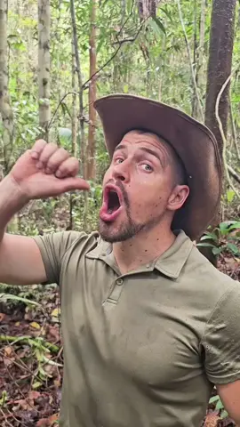 Honai 🛖😴 #dani #tribe #traditional #house #papua 