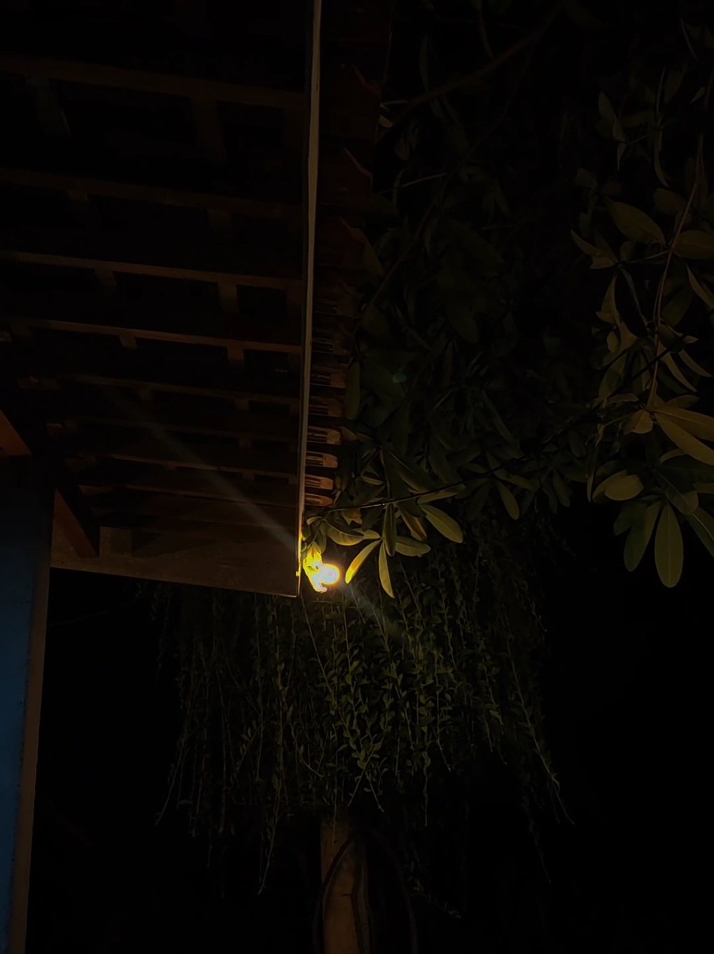 إنه أمر بسيط يا الله، أريد فقط أن يصبح كل شيء سهلاً وسلسا ومعززاً. القدر لك، لكن الجهد والصلاة لي 