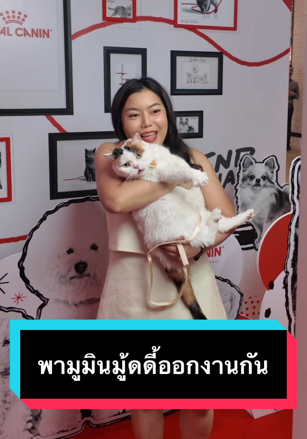 มูมินมู้ดดี้จะพาไปเปิดโลก… ที่ทำให้การเลี้ยงแมวไม่เหมือนเดิมอีกต่อไป #มูมินแมวเหนียง #มู้ดดึ้แมวแสบ  #RoyalCaninTH #เพราะสุขภาพดีคุ้มค่าที่สุด #RoyalCaninFriendJournal