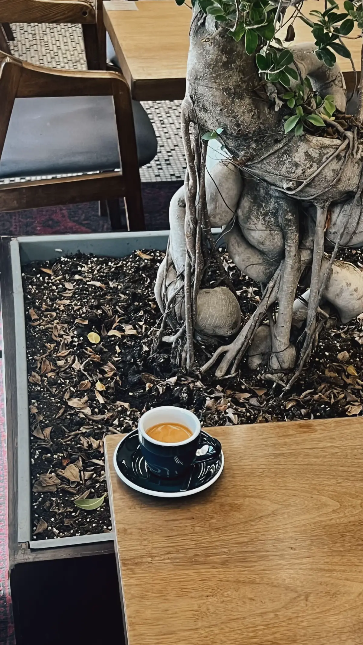 #your_coffee #اسبريسو #اكسبلور #الشعب_الصيني_ماله_حل😂😂 #بعدحيي_حايلنا_حايلندا_حايليات 