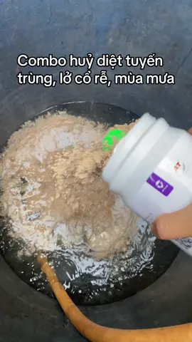 Nên phòng trước chứ đừng để bị nha các bác#caphe #nongnghiep #xuhuong #daklak #viral 