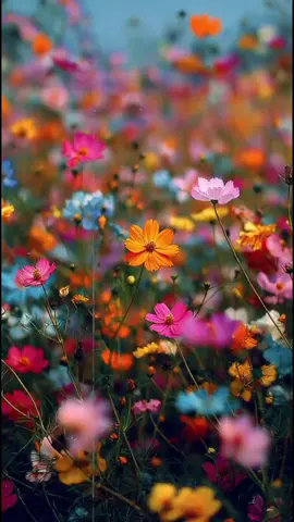 #creatorsearchinsights #foryoupage❤️❤️ #videoviral #islamicvideos #Allah 