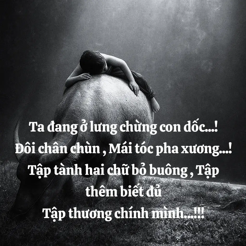 tập tành hai chứ bỏ buông , tập thêm biết đủ , tập thương chính mình#xh 