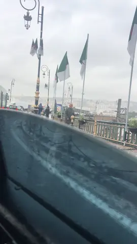 🇩🇿🇩🇿🇩🇿🇩🇿🇩🇿🇩🇿🇩🇿🇩🇿🇩🇿🇩🇿🇩🇿🇩🇿🇩🇿🇩🇿🇩🇿🇩🇿🇩🇿🇩🇿🇩🇿🇩🇿🇩🇿🇩🇿🇩🇿🇩🇿#algeria #algerie🇩🇿 #الجزائر🇩🇿 #LIVEIncentiveProgram #LIVEStory #PaidPartnership 