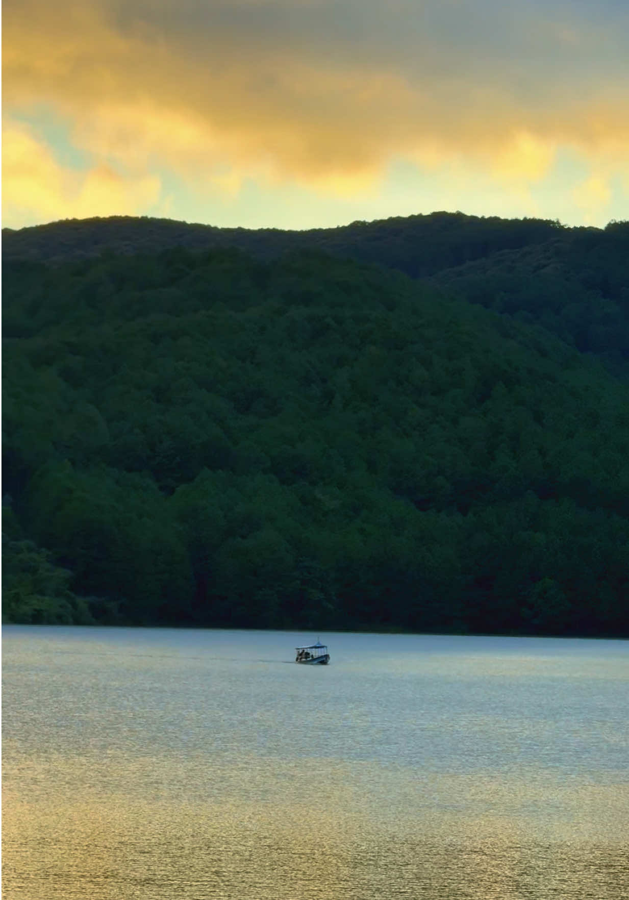 #dalathomnay #thoitietdalat #dalatreview #dalattrip #dalat 