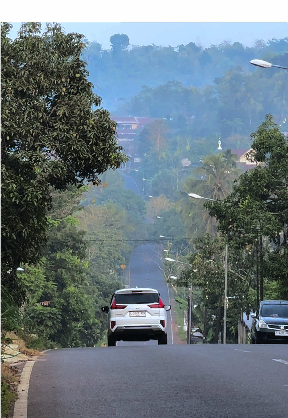 🍃 #bondowoso #bondowosokeren #fyp #fypシ #foryoupage 