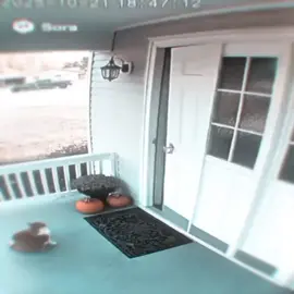 boom boom boom BOOM 🤯  #yoshikagekira #fyp #viral #edit #trending 