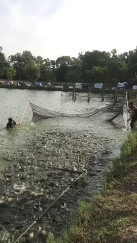 #ປານິນບ້ານຄໍ້ຂາຍຕະຫລອດປີ #ເມືອງຈໍາພອນ #ເທນວັນນີ້💖 