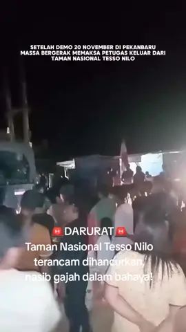 #Repost IG @btn_tessonilo  —— Setelah aksi demo di Pekanbaru pada 20 November 2025, gelombang tekanan itu akhirnya masuk jauh ke dalam Taman Nasional Tesso Nilo. Petugas yang menjaga kawasan dipaksa mundur. Rumah gajah Sumatera akan dihancurkan kembali, kami sangat berharap Negara kuat untuk mempertahankan keluarga dan masa depan Hutan Tesso Nilo. #savetessonilo  #saverumahgajah  #savegajahsumatera  #gajahsumatera 