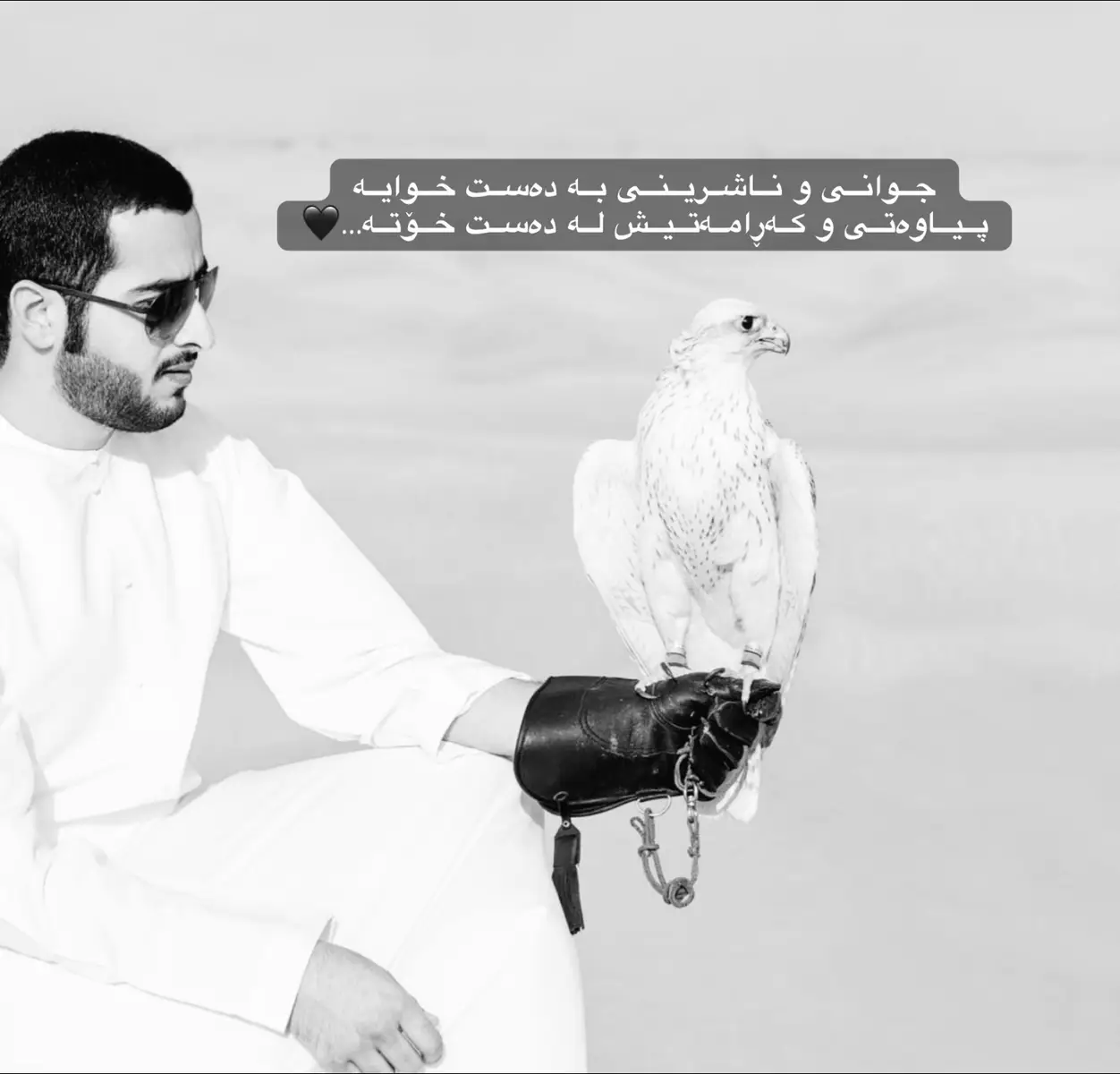 #creatorsearchinsights #haybattt0 #fyp🖤 #foryou🖤 #foryoupage🖤 