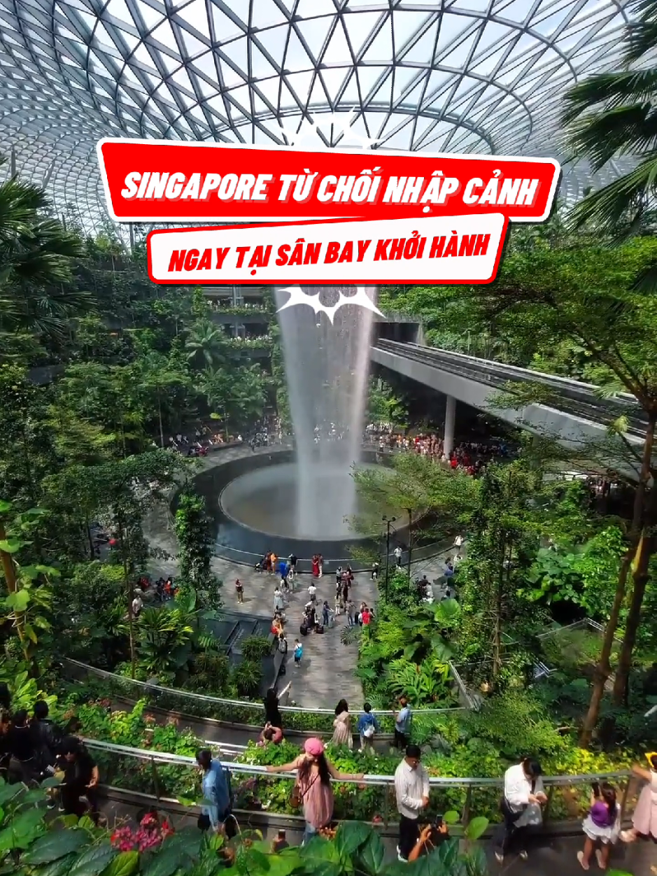 Sin siết chặt quy định nhập cảnh từ 31/12/2025 #singapore #thosanmaybay #halotripvn #vemaybayhalotrip 
