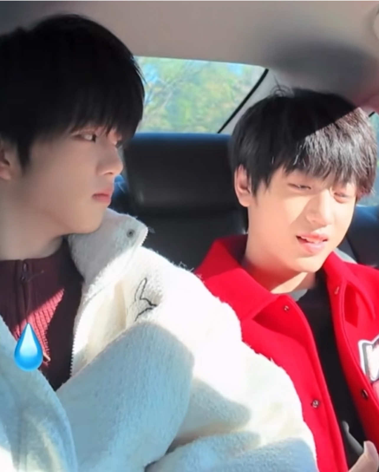 #guirui #tffamily_4th_generation 