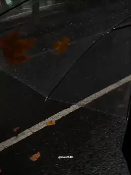 Trong vô số cuộc gặp gỡ, liệu có mấy người vì bạn mà ở lại... #nhactrungquoc #nhactrung #音乐分享🎶 #musicchina #nhachaymoingay 