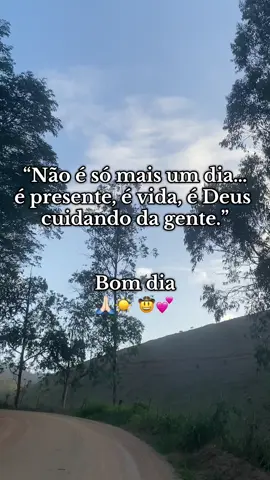 #bomdia #vidanaroça #vidanocampo #agro #roça 