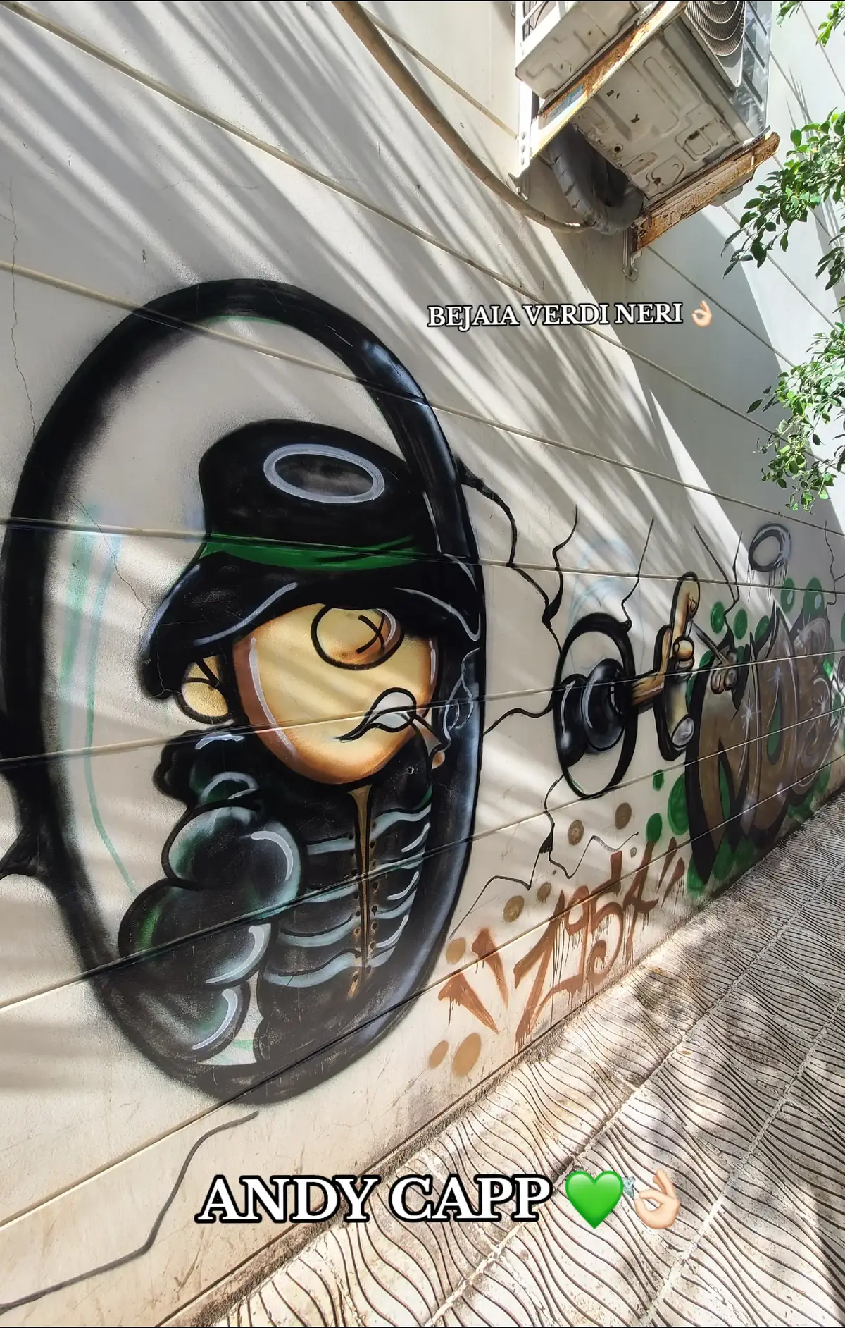 #mobejaia💚🖤💪🦀 #ultras #bejaia06 #granchio #mobejaia🖤💚 