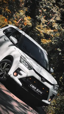 🐺❤️‍🔥 #fyp #viral #foryou #trending #onemillionaudition @TEAM WOLFHOUND’S 🐺♥️🇱🇰 @Raize Owner's Club 🇱🇰 