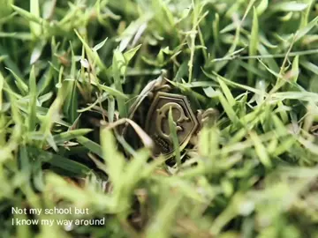 #THEGIFTED - and yep I'm missing this series for the 100th time (I see a mistake but I'm too lazy to fix it 💔) - #thegiftedseries #gmmtv #thegiftedgraduation #edit 