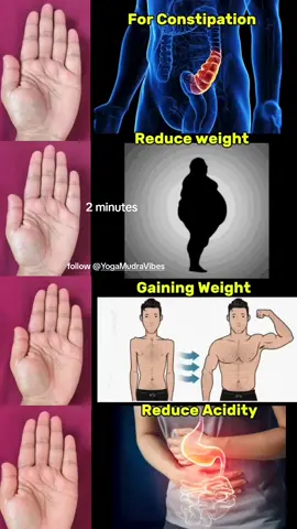 Everyday hand mudra 🧘🧿 #handmudras #fyp #om #healthylife #shiva @OmVision 