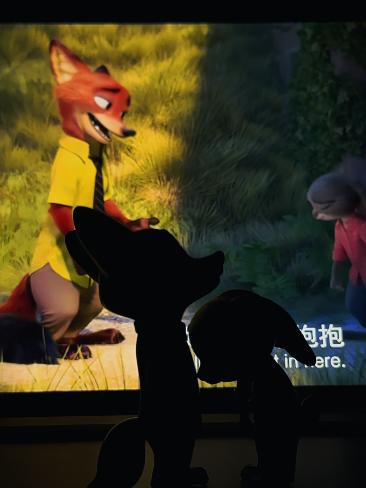 💞 The most unlikely pair, tied by destiny's favorite joke. ✨