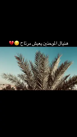 هنيال الموحنين يعيش مرتاح ي❤️‍🩹🥺#تصويري_احترافي_الاجواء👌🏻🕊وتبقى #عباراتكم_الفخمه📿📌 #اعادة_النشر🔃  @المصمم تيتووو 🫧  @حـسـونـي! 