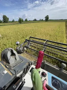 🌾🤍🖤💸🫶🥹😢💪#ស្រលាញ់ការរាប់អាន🔰🚥🚚🔰 