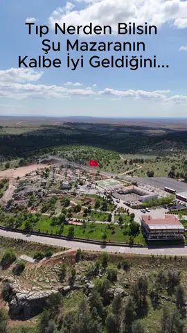 “Tıp nerden bilsin bu görüntünün kalbi iyi geldiğini…” Ama biz çok iyi biliyoruz: Her kadrajında ayrı bir güzellik saklayan, her köşesinde huzuru hissettiren Oğuzeli, insana derin bir nefes aldırıyor. 🍃 Eğlencesiyle, doğasıyla, kültürüyle, samimiyetiyle… Bu ilçe sadece izlenmiyor; ruha da iyi geliyor. Gün batımının sıcak tonları, sokakların sakin ritmi, insanların içtenliği… Hepsi bir araya gelince ortaya kalbe dokunan bir Oğuzeli çıkıyor.