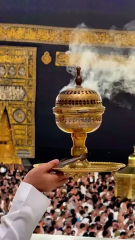 ہم نے انکھوں سے دیکھا نہیں ہے مگر ان کی تصویر سینے میں موجود ہے ❤️🥀❤️#foryou #trending #viral #islamic_video #fyp 