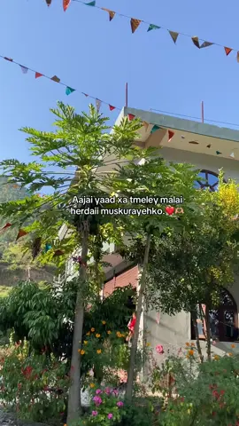 Aajai yaad xa tmeley malai herdaii muskurayehko#oosahorw4 #fypviralシ 