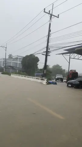 น้ำท่วมปาลัส ปีนี้หนักจริงๆ 🥲#ดันขึ้นฟีดที #น้ําท่วมแล้ว #ติ้กต้อกฟีดเถอะ #ภาคใต้ 