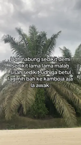 #jokesbatak #fyp #fyopppppppppppppppppppp @Ndree @arel17 @Aripradanagacorkale 