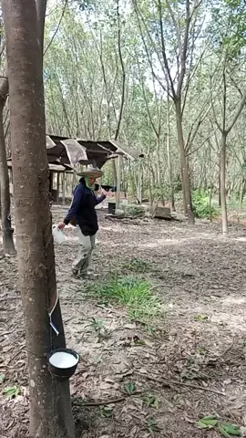 เฮ็ดขึ้นสร้างขึ้น#เปิดการมองเห็น #ฟีดดด #ขําๆ #เทรนด์วันนี้ 