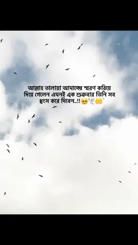 Allah maf koro..!! 🥺🤲 #foryouppage #growmyaccount #fypシ゚viral #trisha_4208 #foryou @tiktok creators @TikTok 