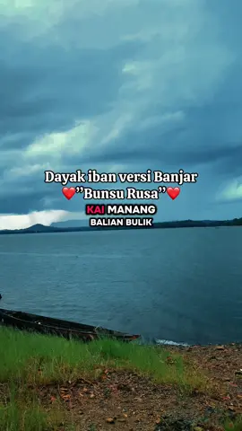 Lagu dayak iban versi banjar “bunsu rusa” #lagudayak #lagudayakviral #bunsurusa #dayakiban #kalimantan 
