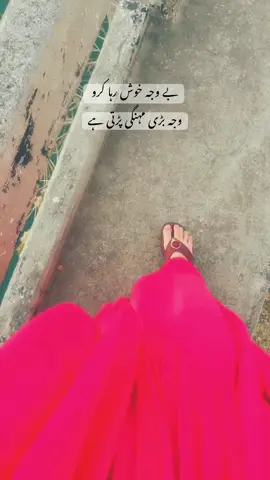 #mano74882 #popular #trending #poetrystatus #billi 