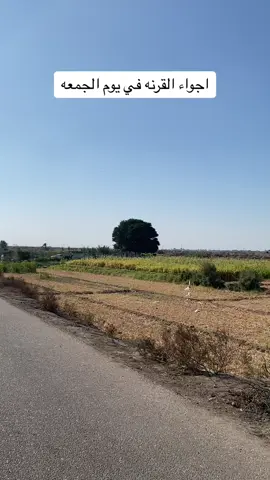 #مقام_الخضر_عليه_السلام #البصره #القرنه