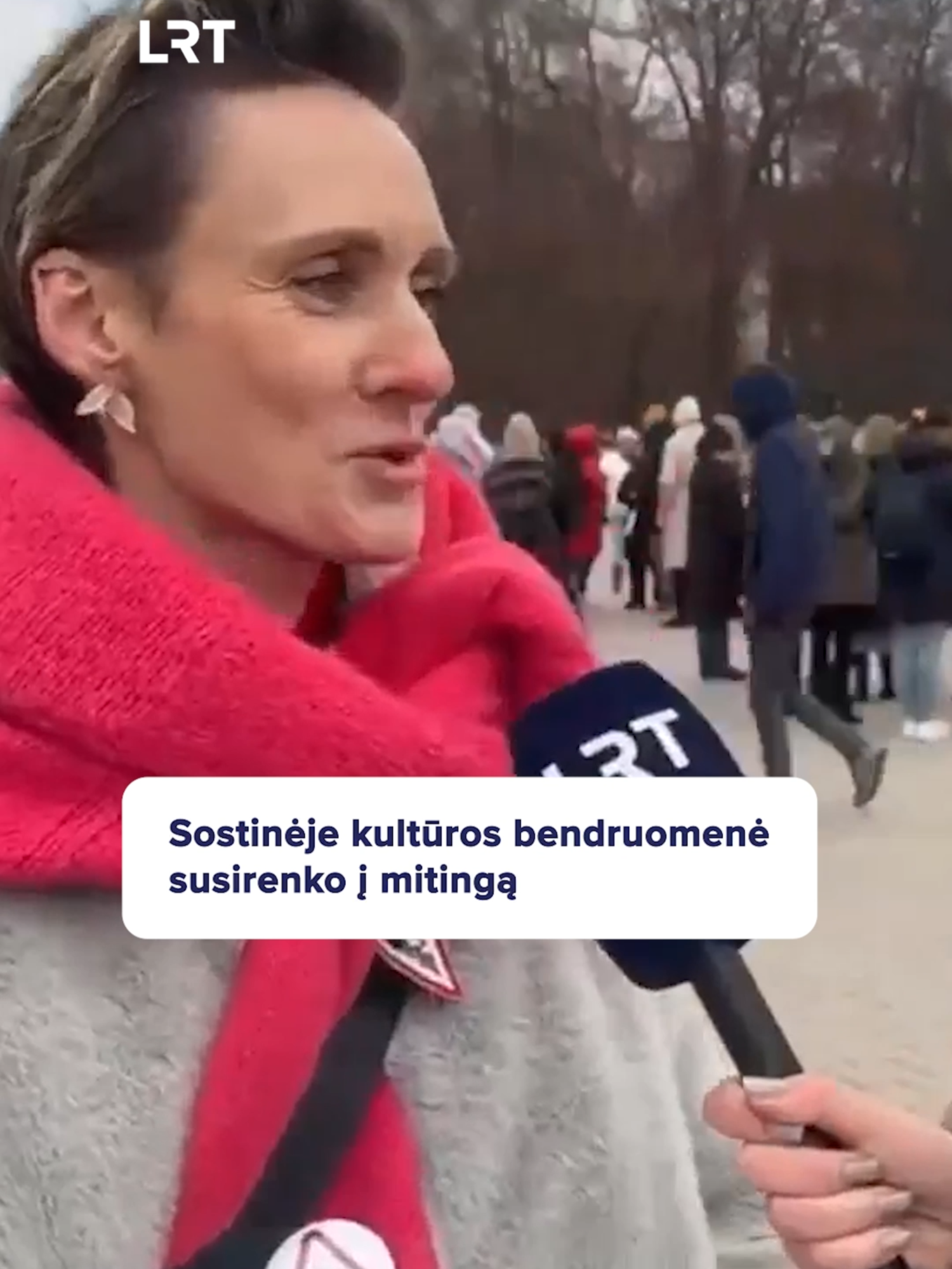 Penktadienį sostinėje prasidėjo finalinis Kultūros asamblėjos mitingas „Kokios valstybės mes norime?“ L. Lapinskienės / LRT vaizdo medžiaga. #LRT #Protestas