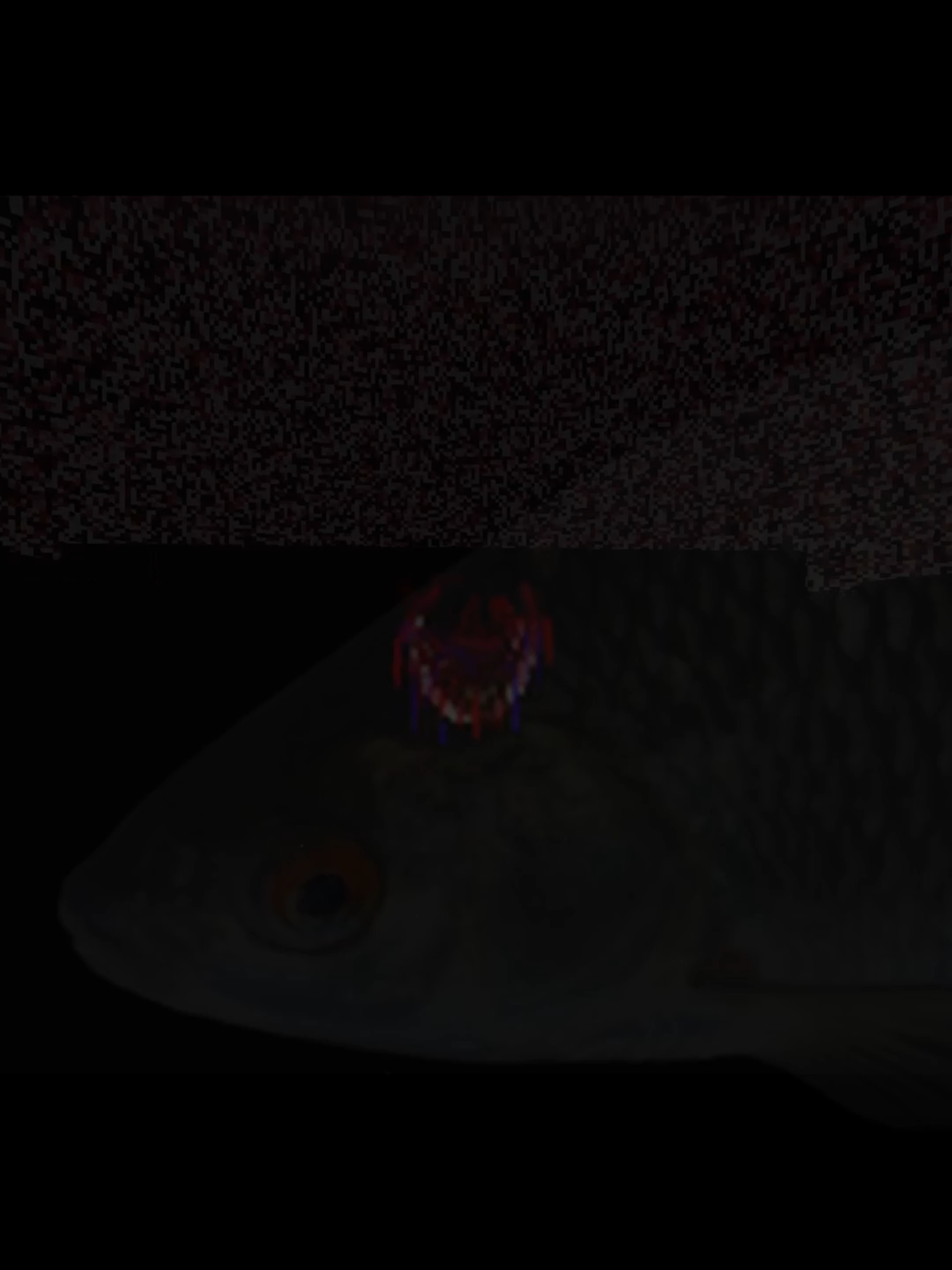 The Pink Valley edit #thepinkvalley #tilin #thepinkvalleytilin #thepinkvalleydoom #doom #edit #fypp #fakesituation #fake