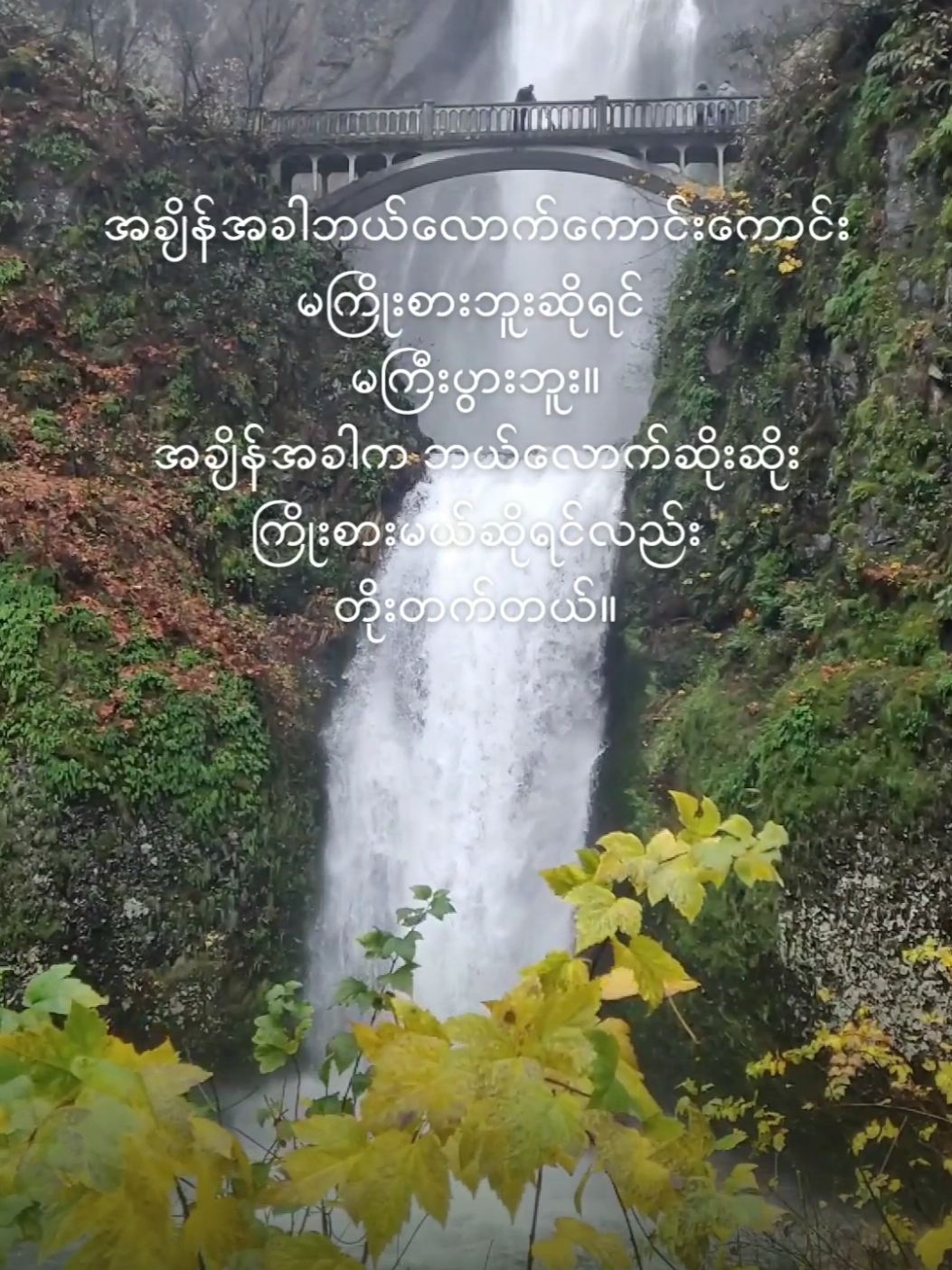 အချိန်အခါဘယ်လောက်ကောင်းကောင်းမကြိုးစားဘူးဆိုရင်မကြီးပွားဘူး။ကြိုးစားမယ်ဆိုရင်လည်းတိုးတက်တယ်။