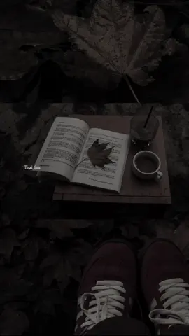 Bài này suy suy..! #nhachaymoingay #capcutpioneer #pioneertemplate #capcut #tamtrang 