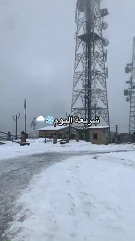 ❄️.                                                        #شريعة❄😍 #fyppppppppppppppppppppppp #fouryou #blida09_tiktok_algérie❤️🇩🇿 