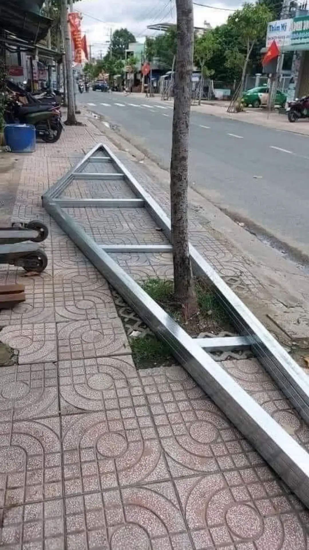 Sáng làm k có cái cây mà chiều đến đã thấy cây mọc đâu ra nhanh thế #thinhomkinh #cơkhi 