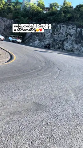 #နေကြာရိုင်း တွေနဲ့ တလမ်းလုံးအရမ်းလှ🌻💛 #fypシ゚viral #foryou #tiktokmyanmar #fypシ 