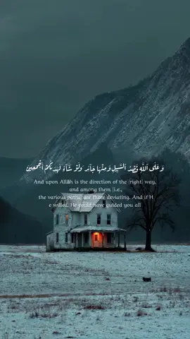 #طارق_يوسف_عرفه #وعلى_الله_قصد_السبيل #كنوز_القرآن🍂 #قرآن #قرآن_كريم_راحة_نفسية🌷🌻 