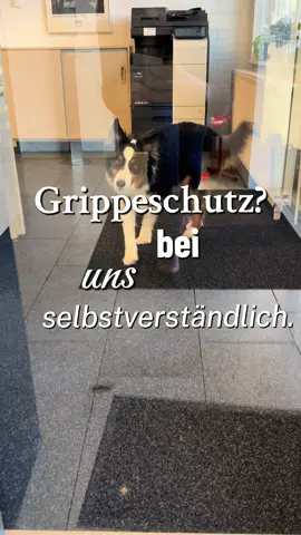 Damit bei uns nur der Edelstahl glänzt – und nicht die Grippe. ✨ Auch in diesem Jahr bieten wir unseren Mitarbeiterinnen und Mitarbeitern die Grippeschutzimpfung 💉 direkt bei Achterkerke an. Ein kurzer Pieks vor der Frühstückspause – und wir starten gesund, stark und gut geschützt in die kalte Jahreszeit. Gesundheit ist Verantwortung. Wir übernehmen Verantwortung bei Achterkerke. #gesundarbeiten #grippeschutz #achterkerke 