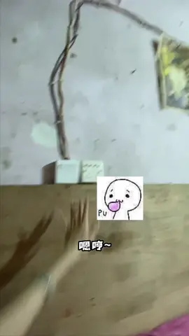 #TikTokAwardsキャンペーン #本の紹介キャンペーン #for #Love 