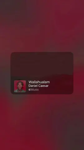 but who know? #danielcaesar #whoknows #lyrics #song #fyp