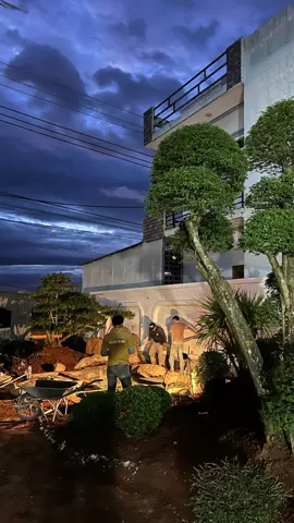 Mỗi ngày mang thêm chút xanh vào đời – đó là niềm vui của chúng tôi. ☘️☘️☘️☘️#danganhgarden #canhquandanganh #canhquansanvuon #bietthusanvuon 