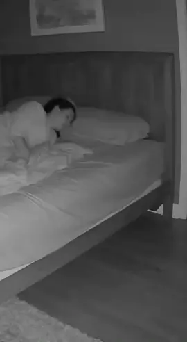 The chubby orange cat is going to practice guitar a lot tonight.